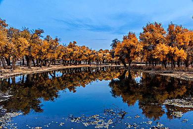 狩猎异星怪物，经营深夜食堂《欢迎来到黄金之星》现已正式发售